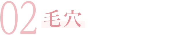 02毛穴